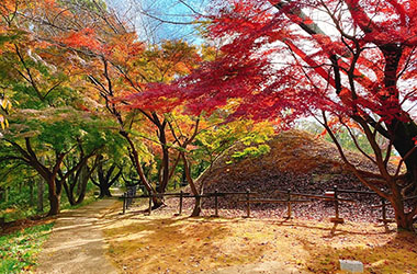 画像：中尾山古墳