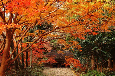 画像：室生寺