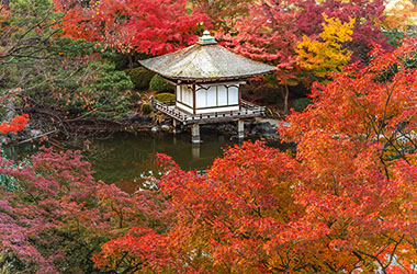 画像：和歌山城　西之丸庭園（紅葉渓庭園）
