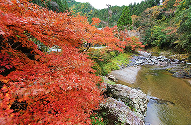 画像：玉川峡