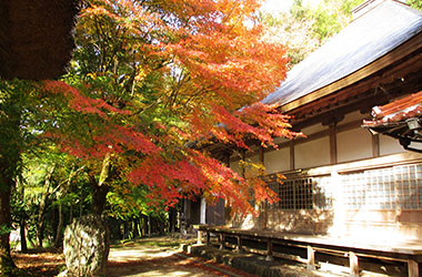 画像：虎石山能引寺