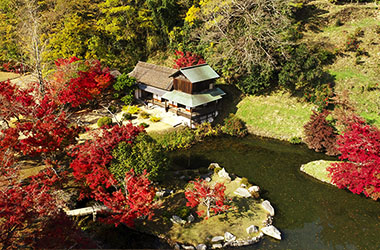 画像：近水園