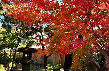 画像：爽籟軒庭園