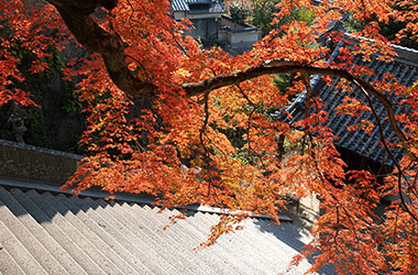 画像：御袖天満宮