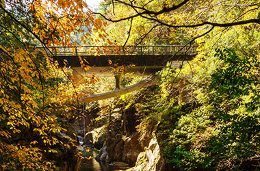 画像：鈍川渓谷の紅葉