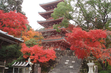 画像：第31番札所 竹林寺