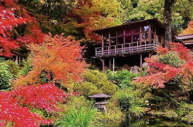 画像：日輪寺