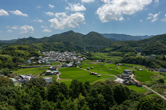 画像：土丸・雨山城跡