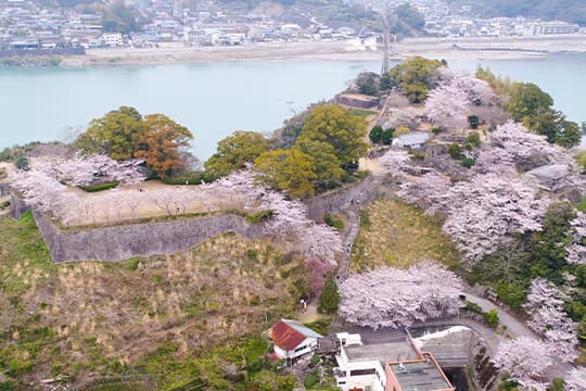 画像：新宮城跡（丹鶴城跡）