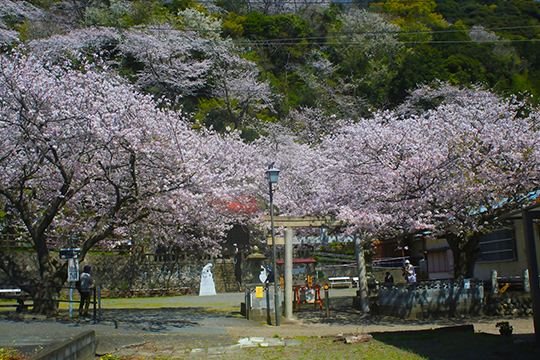 画像：御殿山