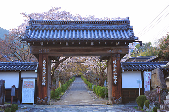 画像：西教寺