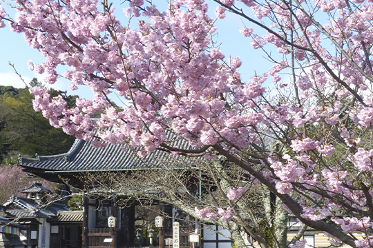 画像：石山寺
