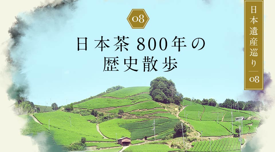 日本茶800年の歴史散歩